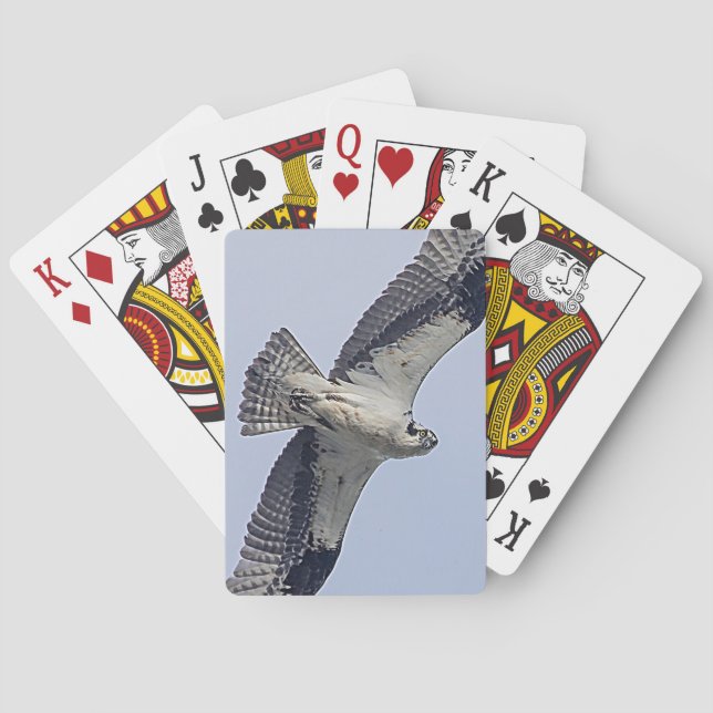Osprey während des Fluges Spielkarten (Rückseite)
