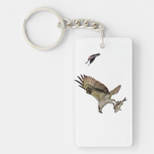 Osprey wird von einem roten Vogelgezwitscher verfo Schlüsselanhänger