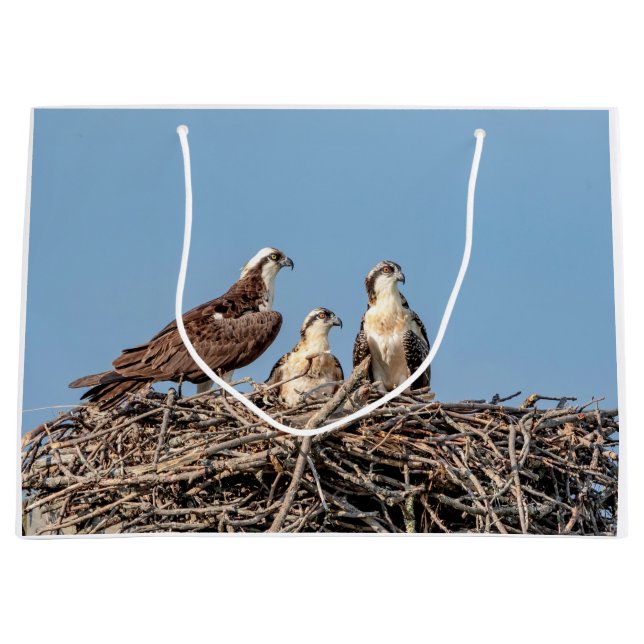 Ospreymamma mit ihren Kindern Große Geschenktüte (Vorderseite)