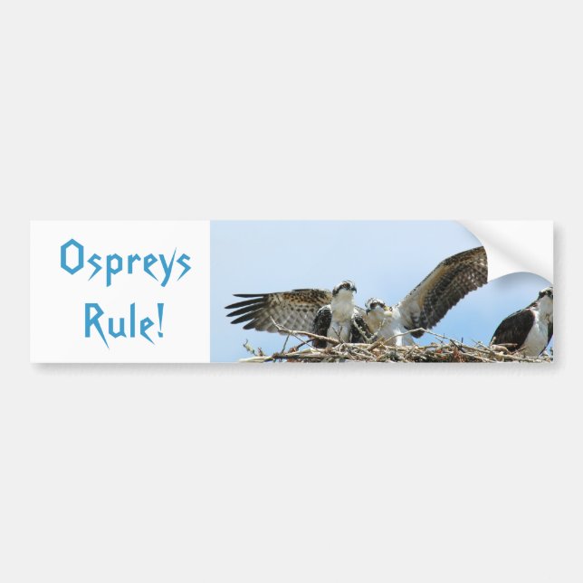 Ospreys Rule Autoaufkleber (Vorne)