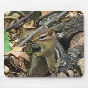 OstChipmunk - Tamias striatus Mousepad