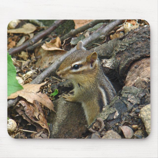 OstChipmunk - Tamias striatus Mousepad (Vorne)