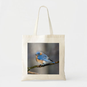 Ostdrossel auf Glied-Budget-Taschen-Tasche Tragetasche