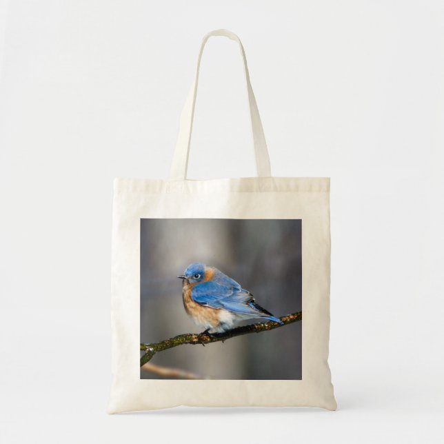 Ostdrossel auf Glied-Budget-Taschen-Tasche Tragetasche (Vorne)