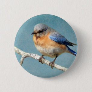 Ostdrossel Button