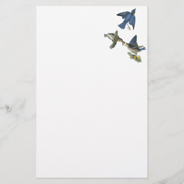 Ostdrossel, John Audubon Briefpapier (Vorderseite)