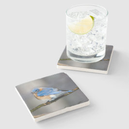 Ostdrossel-Stein-Untersetzer Steinuntersetzer