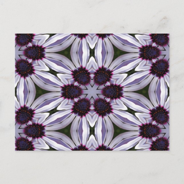Osteospermum Abstrakt Postkarte (Vorderseite)