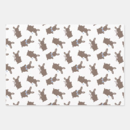 Oster-Baby-Junge-Hase-Blumenmuster  Geschenkpapier Set