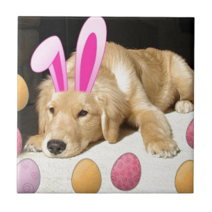 Oster Golden Retriever Welpe Fliese