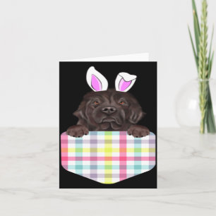 Oster-Plaid Newfoundland-Hase Hund Karte