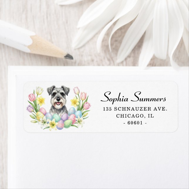 Oster-Schnauzer mit Blumen-Adresse (Insitu)