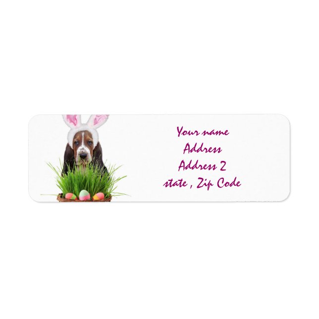 OsterBasset Hound (Vorne)