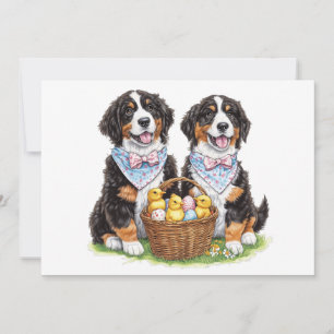 Osterberner Hunde Feiertagskarte