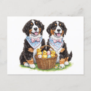 Osterberner Hunde Postkarte
