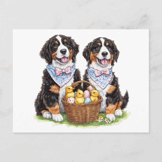Osterberner Hunde Postkarte (Vorderseite)