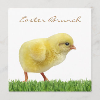 Osterbrunch-Platz 5,25 Zoll x 5,25 Zoll Einladunge Einladung