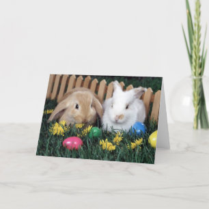 OsterBunnies Feiertagskarte