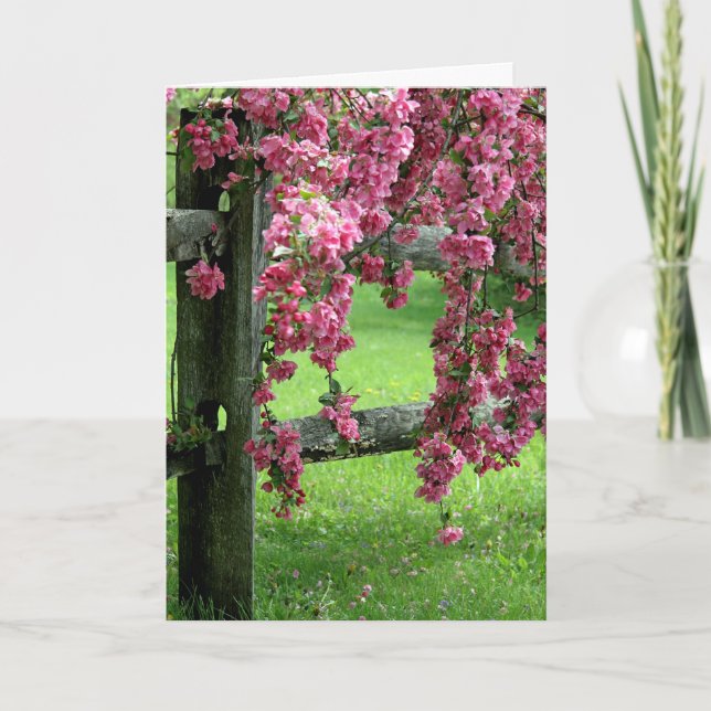 Osterdogwood Feiertagskarte (Vorderseite)