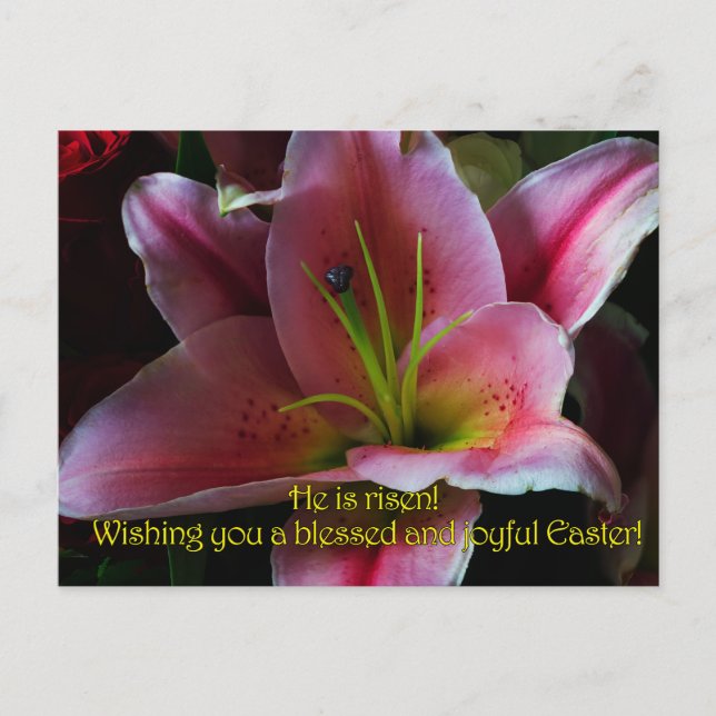 OSTERE GREETINGS POSTKARTE (Vorderseite)