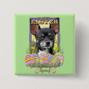 Osterei-Plätzchen - Chihuahua Button