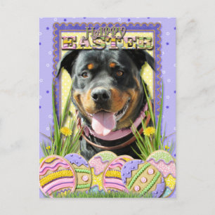 Ostereier-Cookies - Rottweiler Feiertagspostkarte