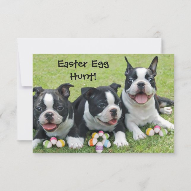 Ostereier Jagd Boston Terrier Hunde Einladungen (Vorderseite)
