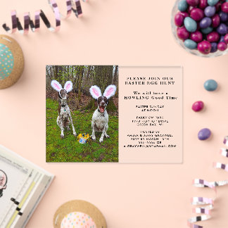 Ostereier Jagd und Party Hunde Ostern Acryleinladungen