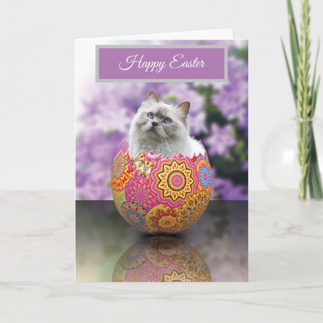 Ostereier Katzenkatze Happy Osterkarte Dankeskarte (Vorderseite)