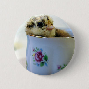 Ostereier Küken im Cup Button