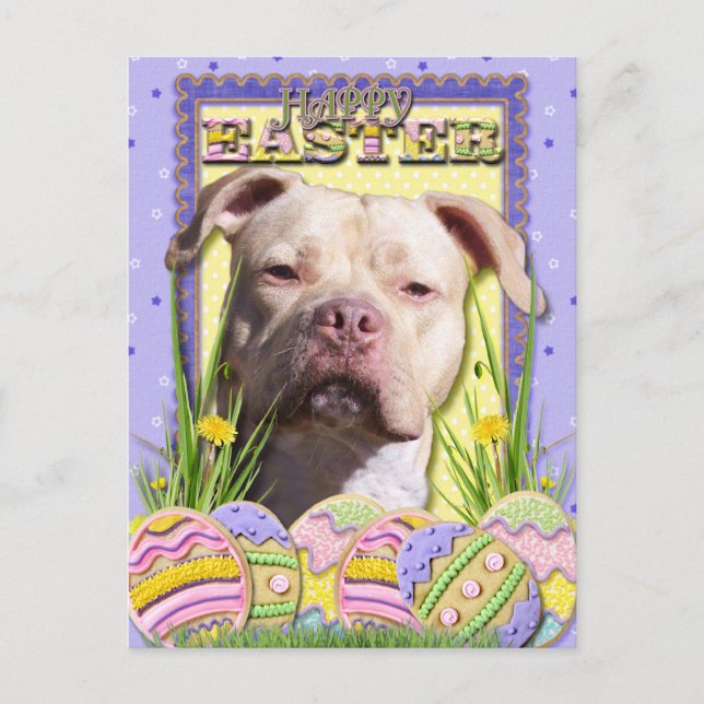 Ostereier - Pitbull - JerseyGirl Feiertagspostkarte (Vorderseite)