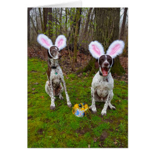 Ostereisjagd und Party Hunde Grußkarte