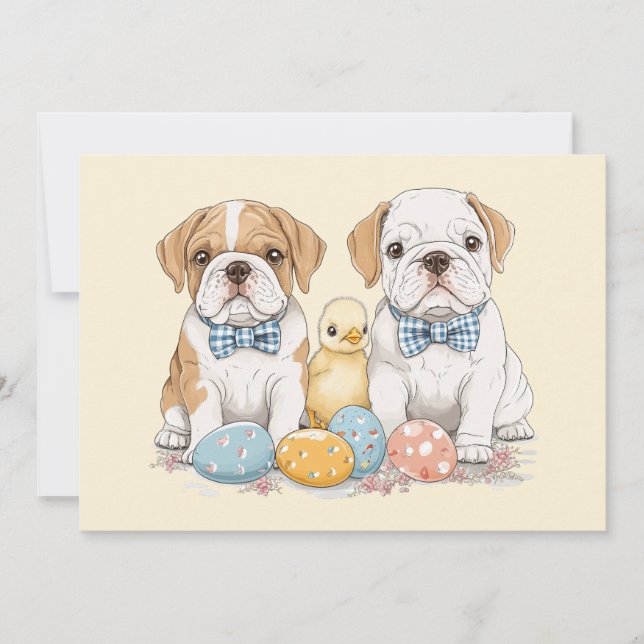 Osterenglische Bulldogs Feiertagskarte (Vorderseite)