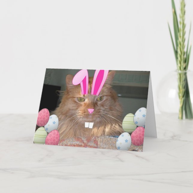 Osterfarbene Katze Feiertagskarte (Vorderseite)