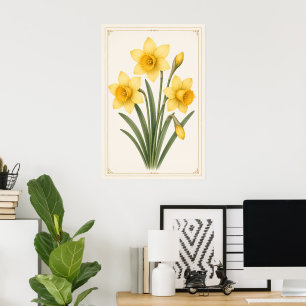 Osterglocke Botanisch, März Geburtsblume Poster