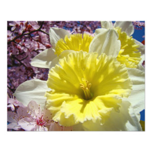 Osterglocken Blumen Fotografie Kunst Drucke Frühli