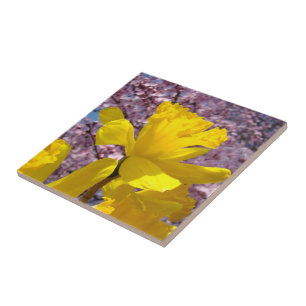 Osterglocken-Fliesen Kunst Dekorativ Frühlingszeit Fliese