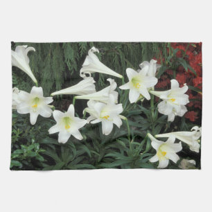 Osterglocken-Lilie (Lilium regale) Küchentuch
