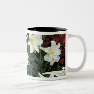 Osterglocken-Lilie (Lilium regale) Zweifarbige Tasse