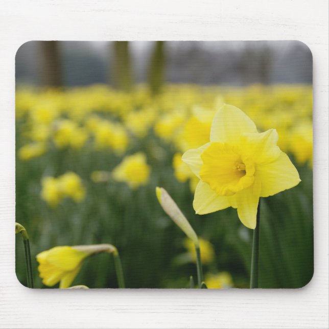 Osterglocken (RF) Mousepad (Vorne)