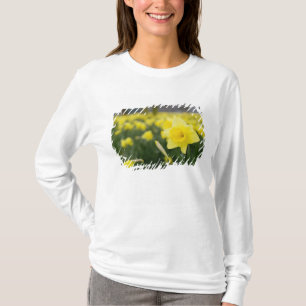 Osterglocken (RF) T-Shirt