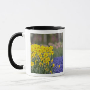 Osterglocken und Traubenhyazinthen, Keukenhof Tasse