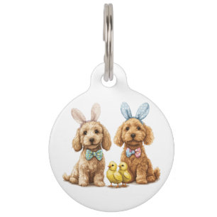 Ostergoldendoodle-Hunde Haustiermarke