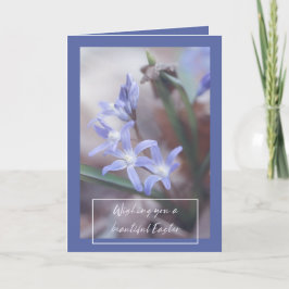 Ostergruß - Chionodoxa - Karte