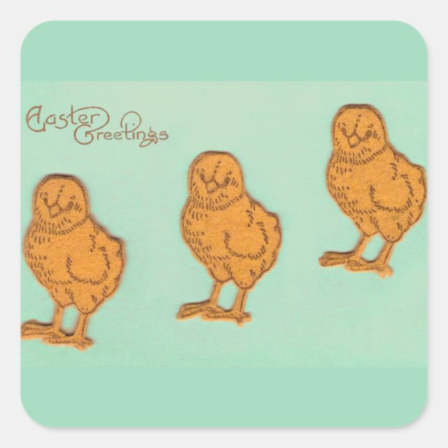 Ostergrüße Chicks Grün Quadratischer Aufkleber (Vorderseite)