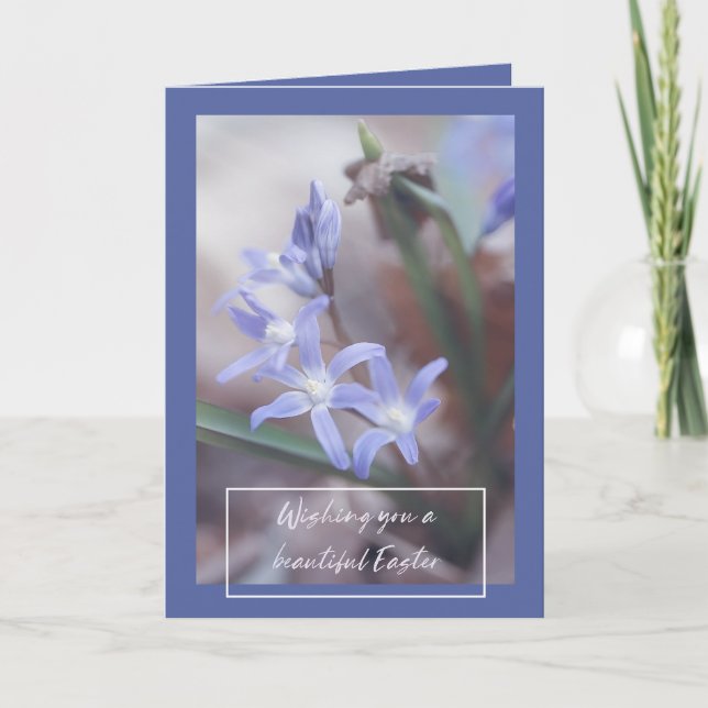 Ostergrüße - Chionodoxa - Karte (Vorderseite)