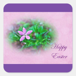 Ostergrüße Deptford Pink Wildblume Quadratischer Aufkleber
