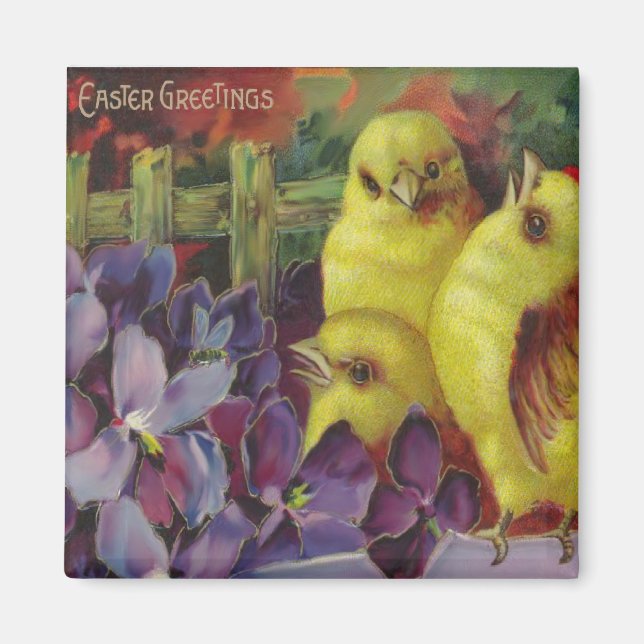 Ostergrüße Küken Magnet (Vorne)