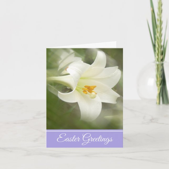 Ostergrußkarte Osterlilie Karte (Vorderseite)