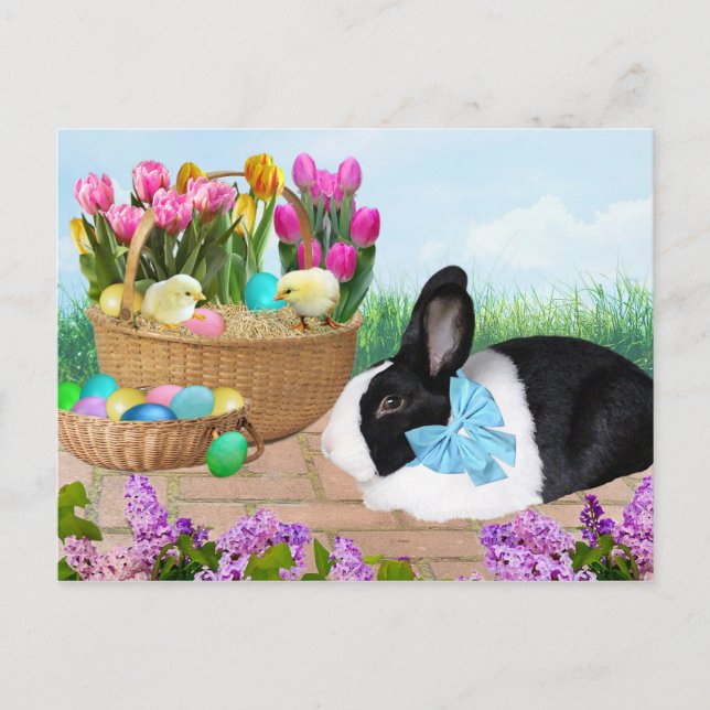 Osterhase Bunny Postcard Postkarte (Vorderseite)